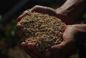Producteurs et Artisans - Main