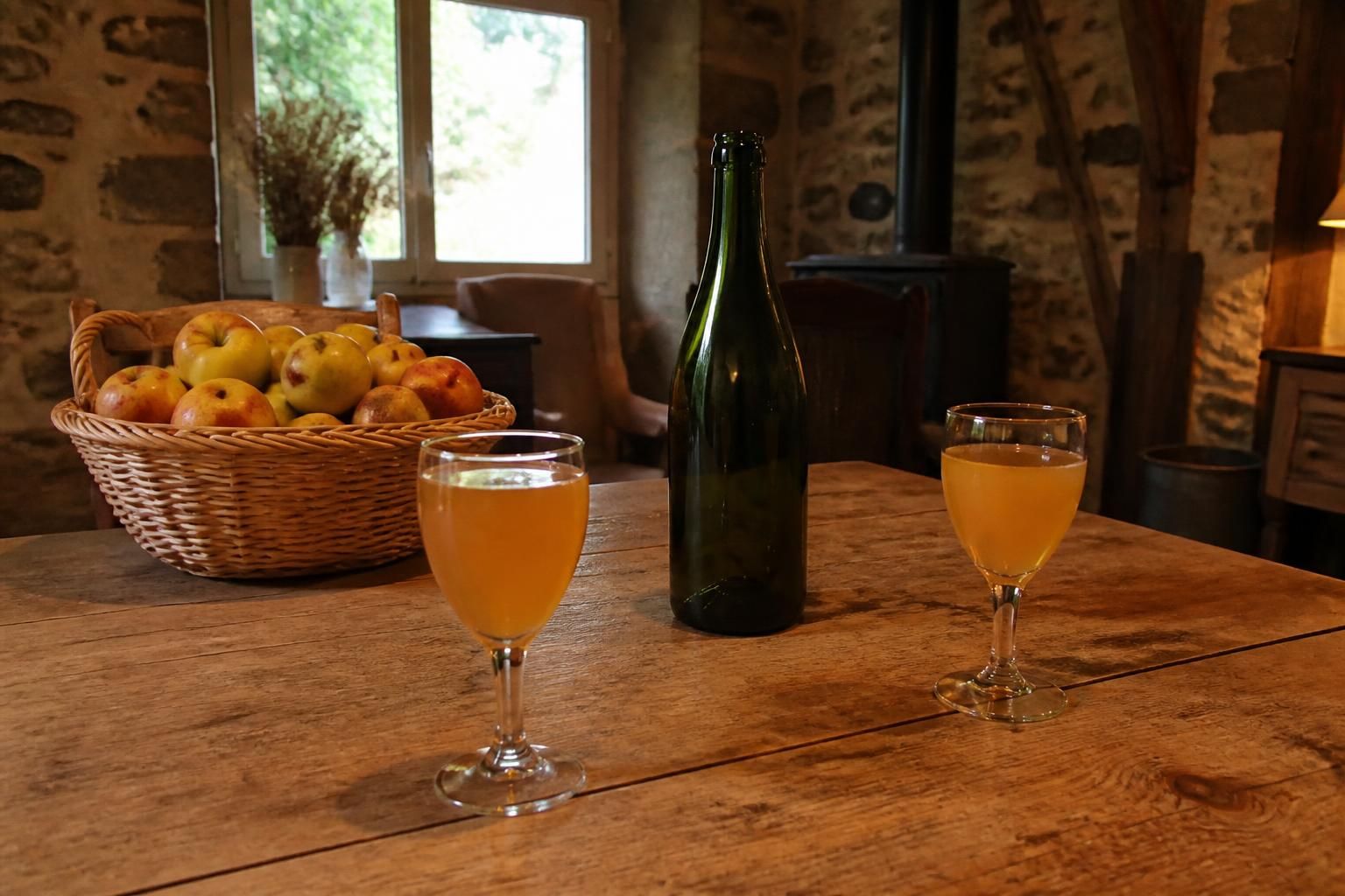 découvrez tout sur le cidre sans alcool : ses saveurs uniques, son processus de fabrication authentique et nos conseils pour une dégustation optimale.