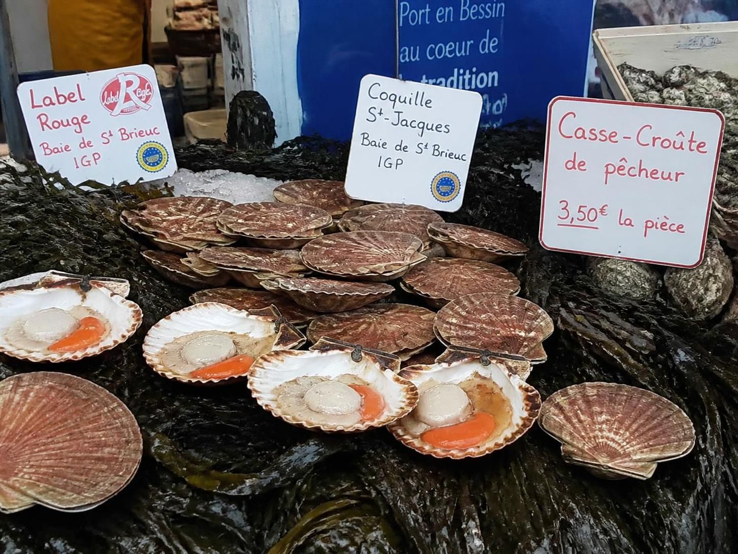 découvrez les différences entre la coquille saint-jacques normande et bretonne, leurs caractéristiques uniques, leur goût et leur origine pour mieux les apprécier.